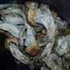 Albino Penis Envy Mushrooms kaufen – Starke Magic Mushrooms