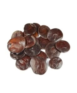Anadenanthera peregrina (Yopo) kaufen – Ethnobotanisches Naturprodukt