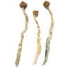 Arenal Volcano Magic Mushrooms Wirkung