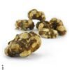 Atlantis Truffles kaufen – Magic Trüffel online bestellen