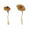 Blue Magnolia Rust Magic Mushrooms Wirkung – Infos & Eigenschaften