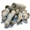 Albino Penis Envy Zauberpilze Wirkung und Infos