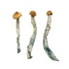 Creeper Magic Mushrooms Wirkung – Infos & Eigenschaften