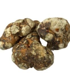Dolphins Delight kaufen – Magic Mushroom Edibles