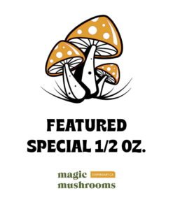 Half Oz Magic Mushrooms 14g – Wirkung & Infos erklärt