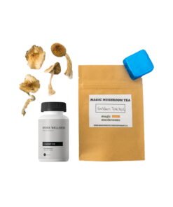 First Timer Magic Mushroom Kit – Wirkung & Infos für Einsteiger