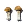 Hero Magic Mushrooms Wirkung – Infos & Stärke