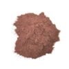Mimosa hostilis (Jurema) kaufen – Hochwertige ethnobotanische Pflanze