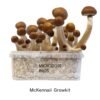 Tarnbox McMoby Variante – Infos einfach erklärt